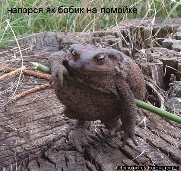 4743317_0E (600x565, 80Kb)