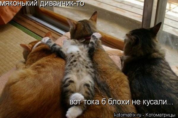 4743317_N6 (600x399, 41Kb)