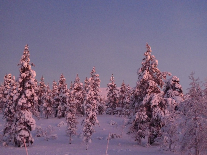 Kari-Lapland-23-990x742 (700x524, 348Kb)