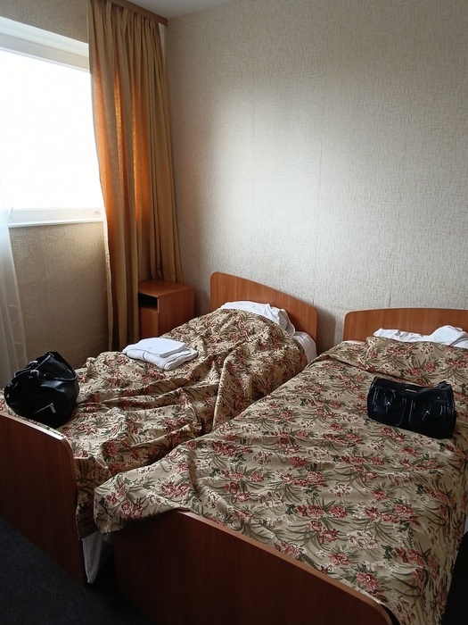 IMG_20240411_113119 (525x700, 147Kb)