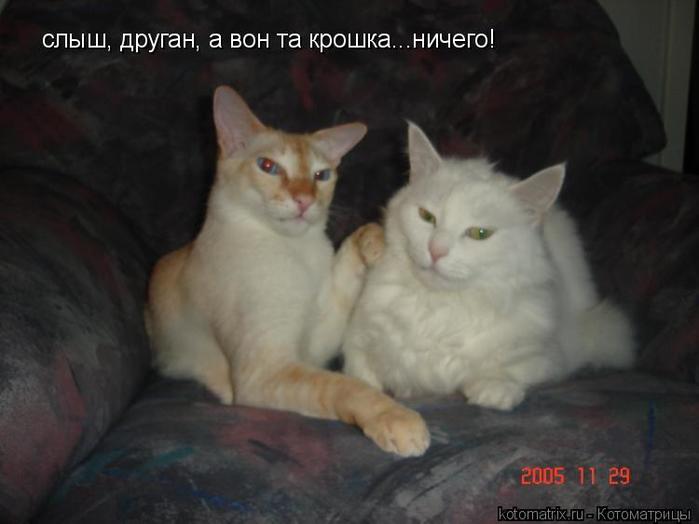 4743317_FK (700x524, 29Kb)