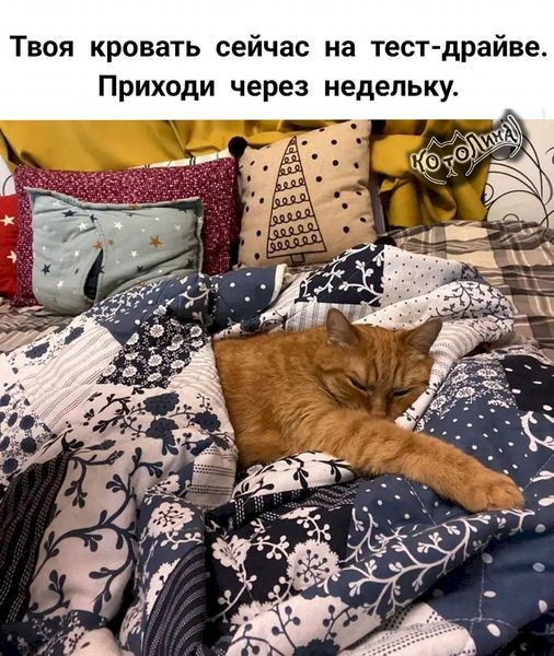 4743317_a0f24731 (506x600, 102Kb)