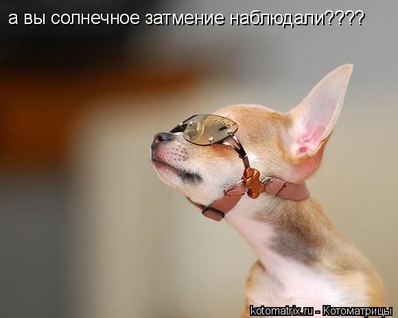 4743317_WMf (580x464, 25Kb)
