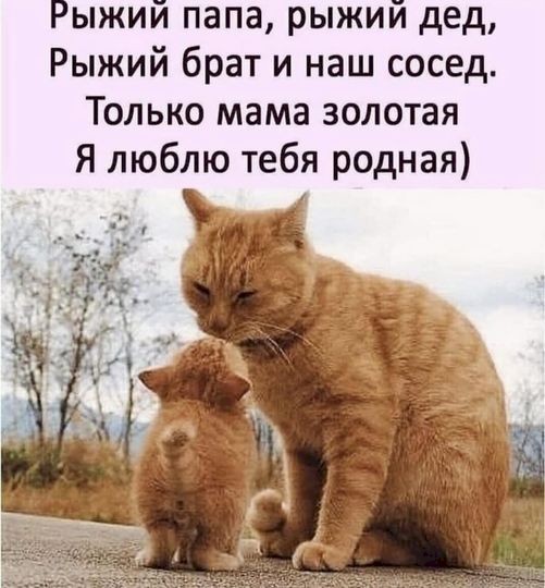 4743317_89c6c75d (501x540, 61Kb)
