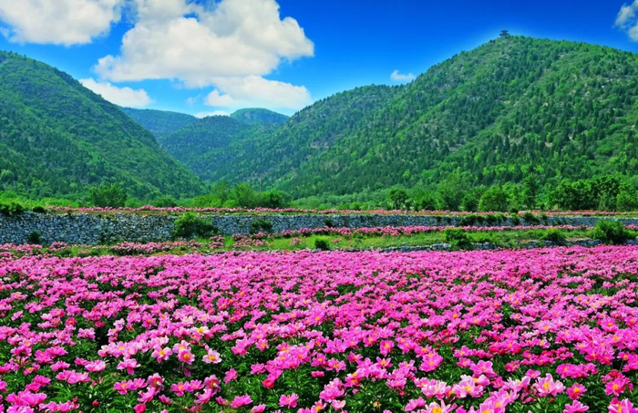 4afff177224267b0695f5fccc35f3944u1 (700x453, 658Kb)