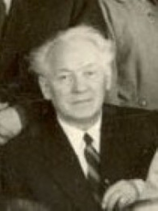 Vaso_yushitashvili (525x700, 135Kb)