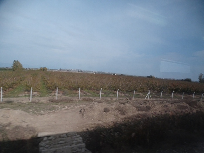 DSC00008 (700x525, 288Kb)