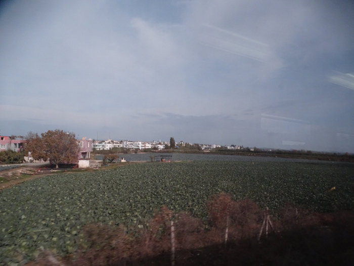 DSC00015 (700x525, 297Kb)