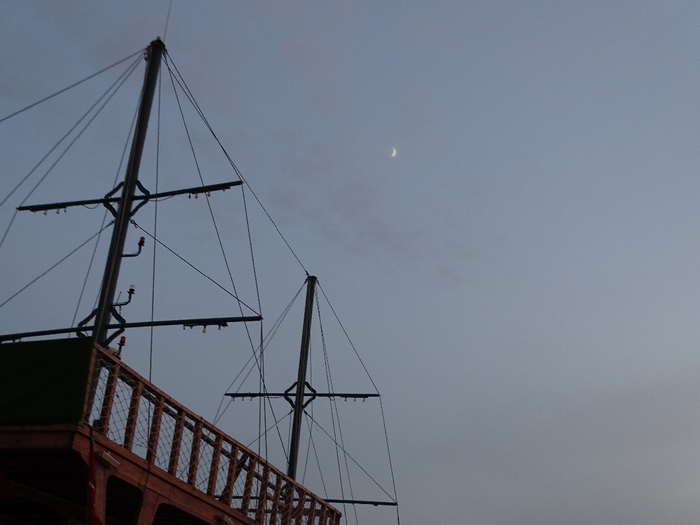 DSC00032 (700x525, 264Kb)