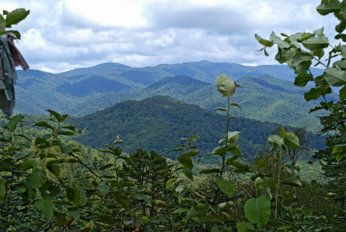 image (700x468, 127Kb)