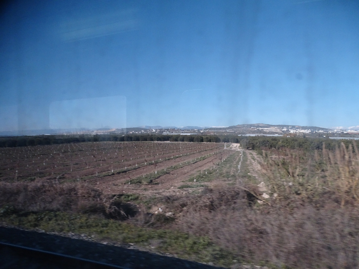 DSC00109 (700x525, 330Kb)