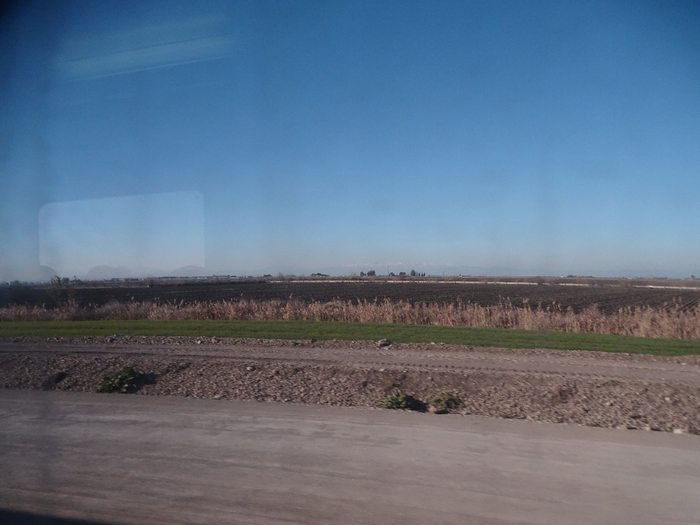 DSC00149 (700x525, 308Kb)