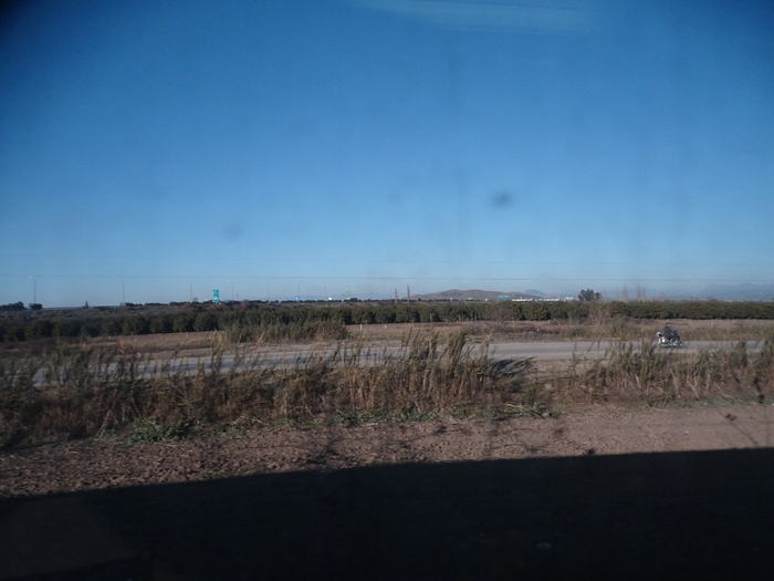 DSC00151 (700x525, 305Kb)