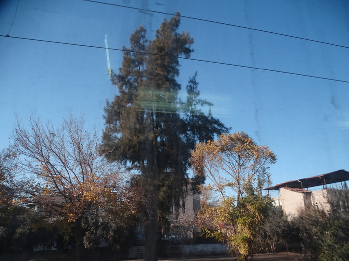 DSC00160 (700x525, 408Kb)
