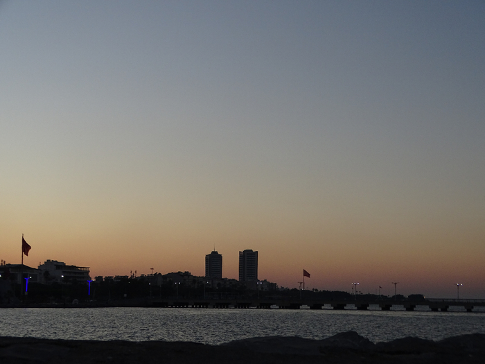 DSC00200 (700x525, 243Kb)
