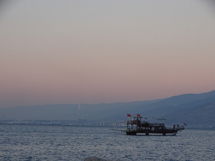 DSC00202 (700x525, 299Kb)