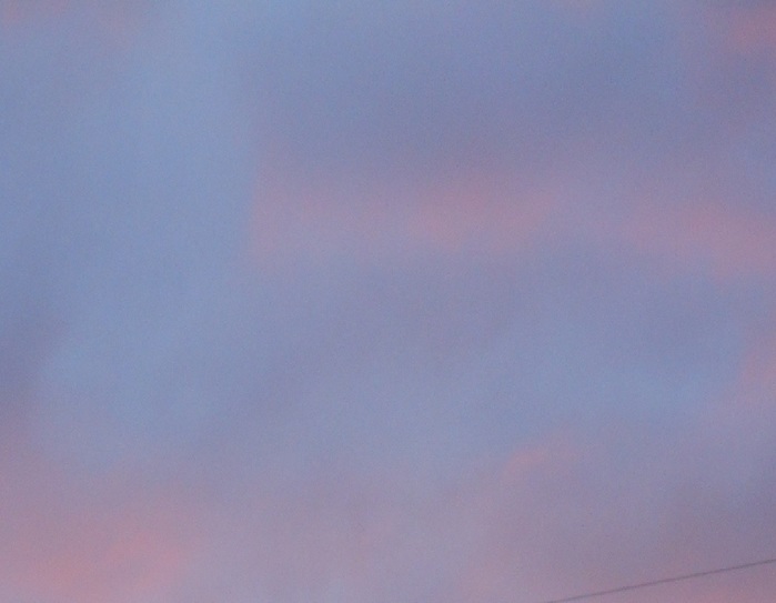 4533467_DSCN5836 (700x543, 54Kb)