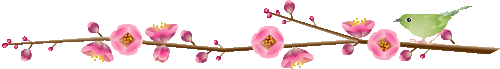 17 (500x69, 8Kb)