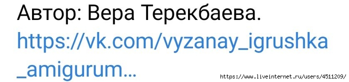 Screenshot_2023-05-06-21-48-55-889_com.vkontakte.android (700x164, 66Kb)
