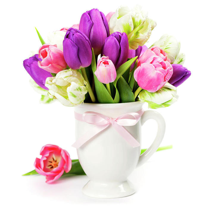 1-beautiful-tulips-bouquet-natalia-klenova (699x700, 58Kb)