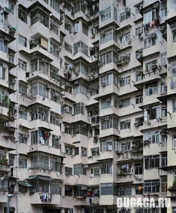 4743317_1139742844_17 (348x420, 52Kb)
