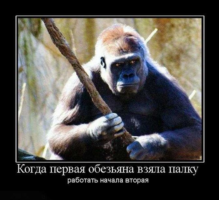 4743317_demotivatory_88 (700x638, 74Kb)