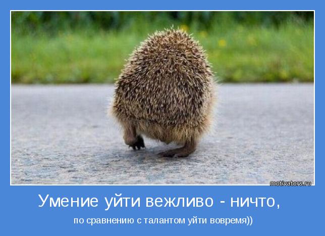 4743317_motivator50105 (644x467, 42Kb)