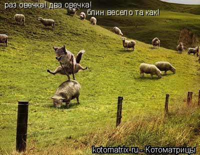 4743317_TF (400x311, 34Kb)