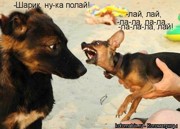 4743317_fP (600x430, 41Kb)