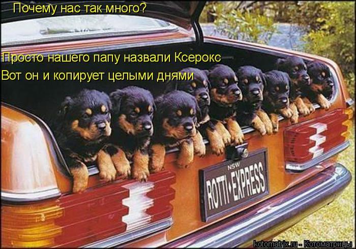 4743317_Gp (700x490, 77Kb)