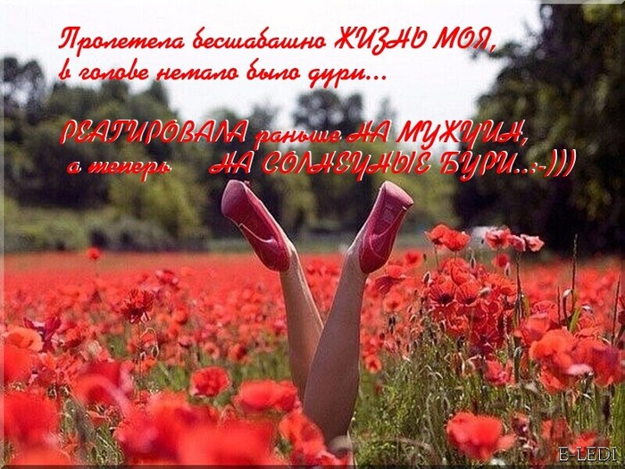    (800x625, 125Kb)