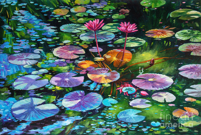 pink-water-lilies-and-lily-pads-john-clark (700x472, 618Kb)