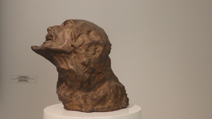 P4300049 (700x393, 214Kb)