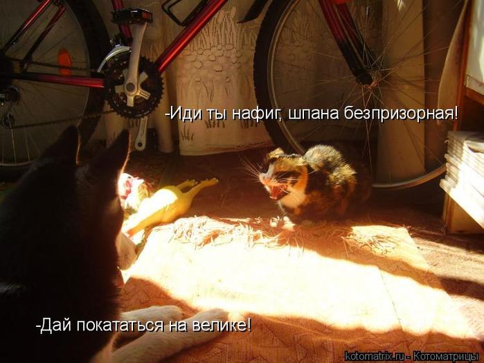 4743317_pl (700x524, 53Kb)
