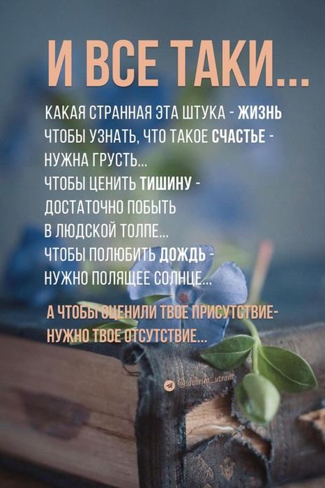 fd1bbbfa0b298bae6ba72f726b573549 (466x700, 51Kb)