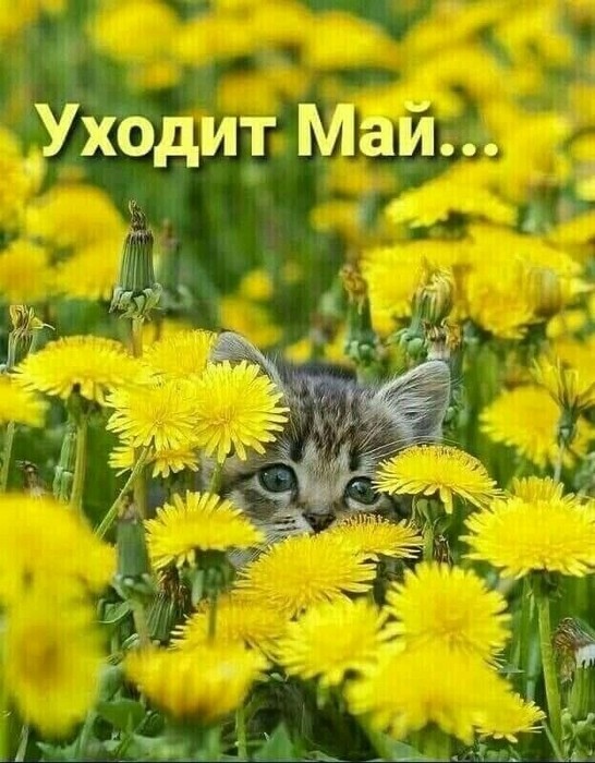   (546x700, 107Kb)