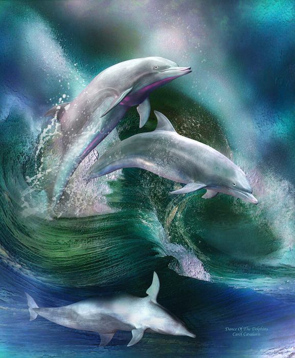 dance-of-the-dolphins-carol-cavalaris (577x700, 499Kb)