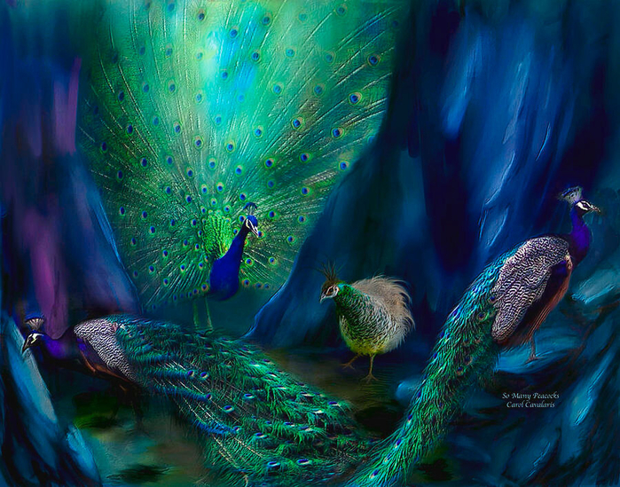 so-many-peacocks-carol-cavalaris (700x549, 559Kb)