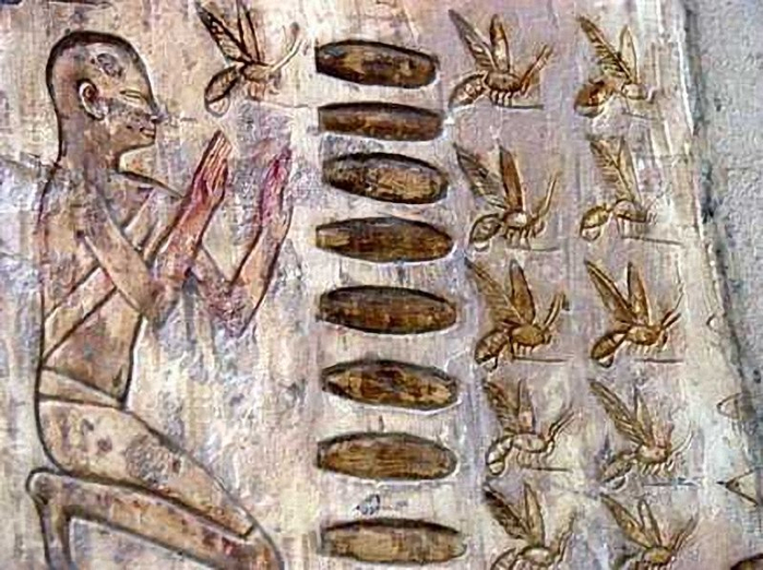 Пчеловод Древнего Египта.  ельеф на гробнице Пабаса (двадцать пятая династия). (700x522, 405Kb)