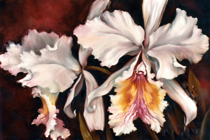 kj-orchids (700x469, 421Kb)