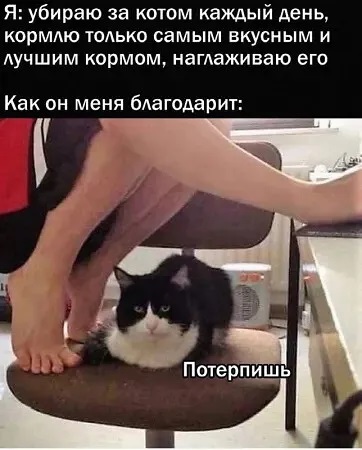4743317_i_1_webpp (362x450, 56Kb)