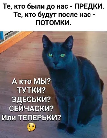4743317_i_5 (348x450, 53Kb)