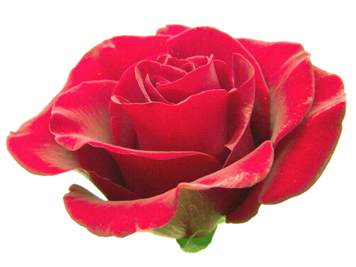 0_72978_498146b8_XXXL (700x525, 405Kb)