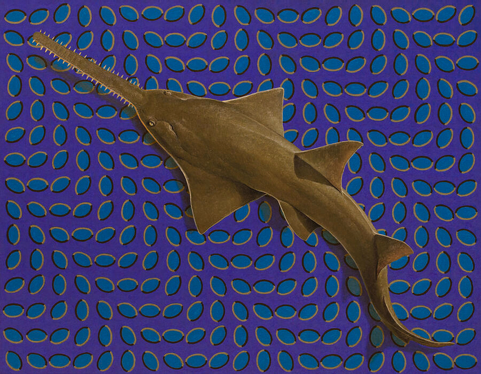 sawfish-konstantin-korobov (700x544, 652Kb)