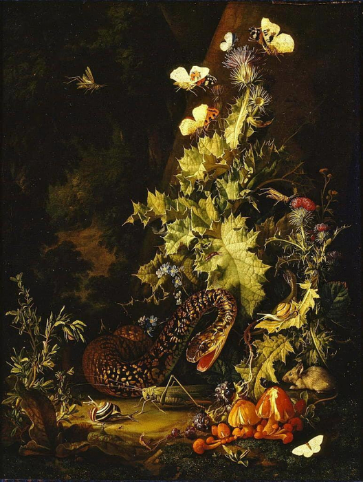 Elias_van_den_Broeck_-_Still_Life_with_a_Snake_early_18th_century_-_(MeisterDrucke-1179487) (528x700, 462Kb)