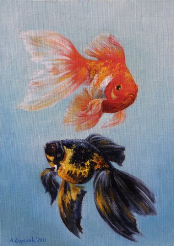 goldfish_2 (1) (355x500, 133Kb)