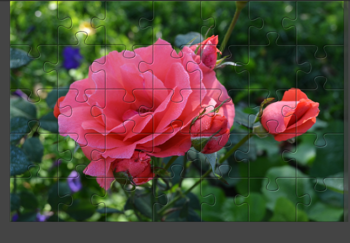 Image 49 (700x487, 419Kb)