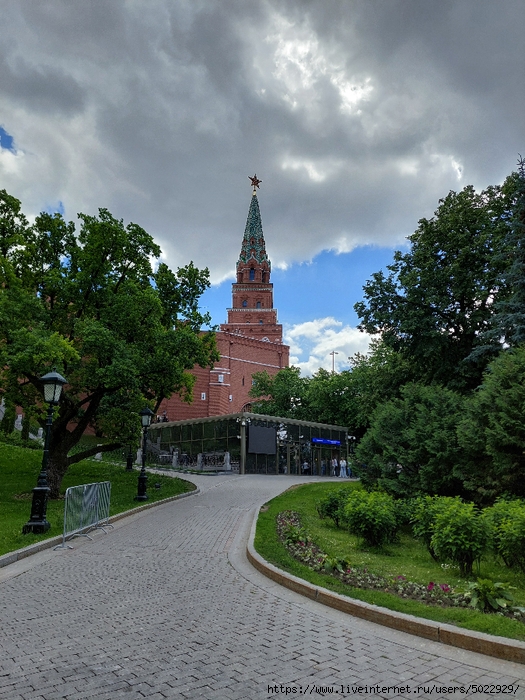 20240608_121533 (525x700, 353Kb)