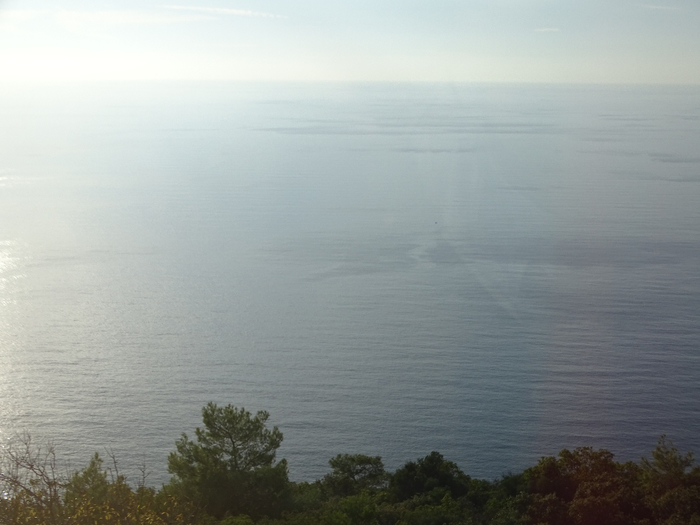 DSC00135 (700x525, 243Kb)