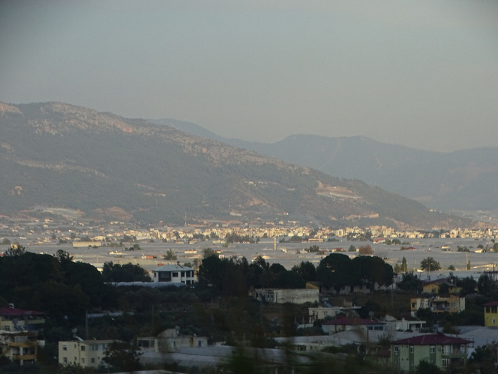 DSC00163 (700x525, 304Kb)